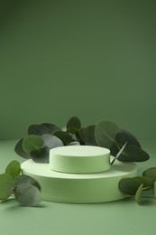 Photo of Beautiful eucalyptus branches on podium against green background. Space for text