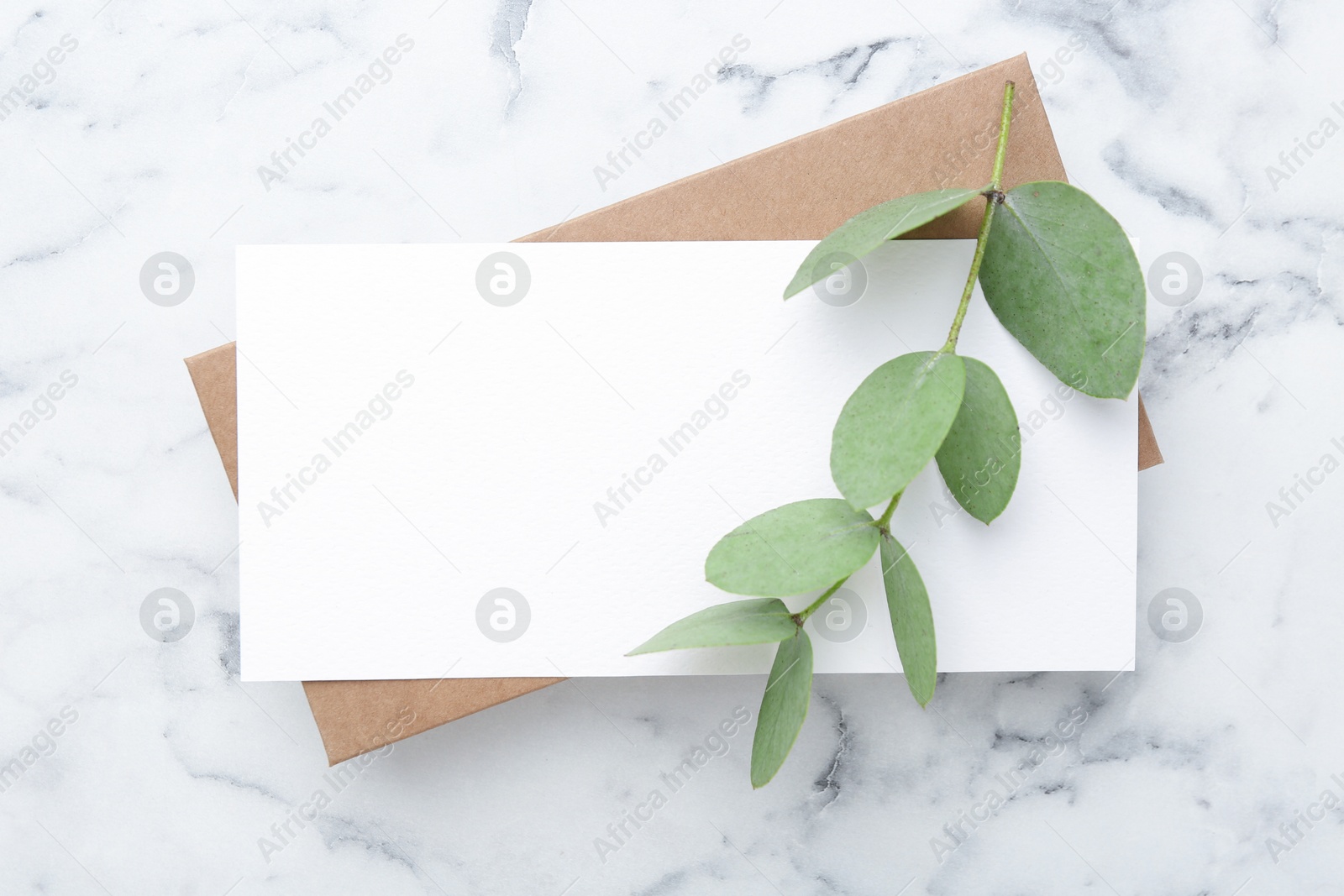 Blank card and eucalyptus branch on white marble background, flat lay Photo of Blank card and eucalyptus branch on white marble background, flat lay