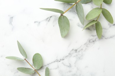 Photo of Beautiful eucalyptus branches on white marble table, flat lay. Space for text