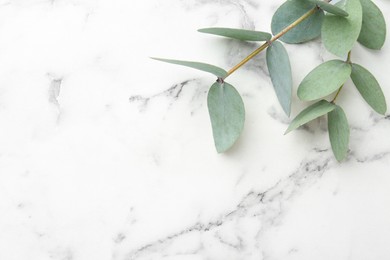 Photo of Beautiful eucalyptus branches on white marble table, top view. Space for text