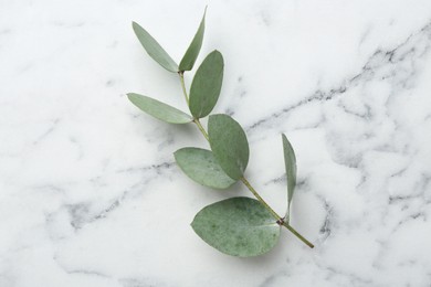 Photo of Beautiful eucalyptus branch on white marble table, top view
