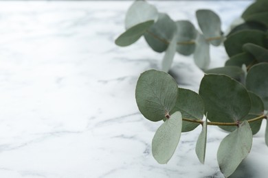 Photo of Beautiful eucalyptus branches on white marble table, closeup. Space for text