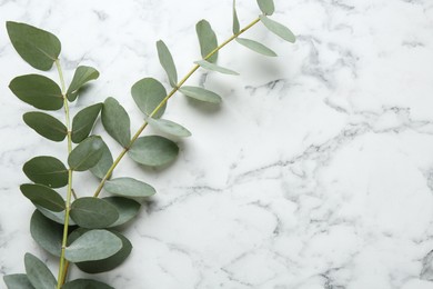 Photo of Beautiful eucalyptus branches on white marble table, top view. Space for text