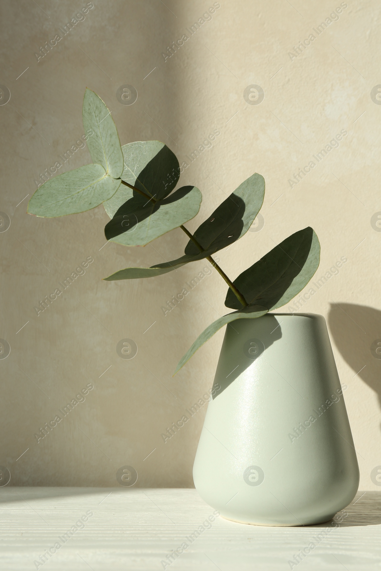 Beautiful eucalyptus branch in vase on table near light wall Photo of Beautiful eucalyptus branch in vase on table near light wall