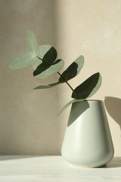 Photo of Beautiful eucalyptus branch in vase on table near light wall