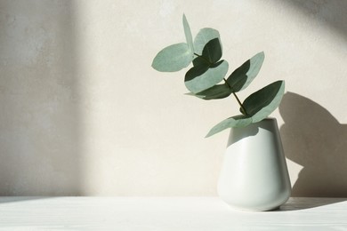 Photo of Beautiful eucalyptus branch in vase on table near light wall. Space for text