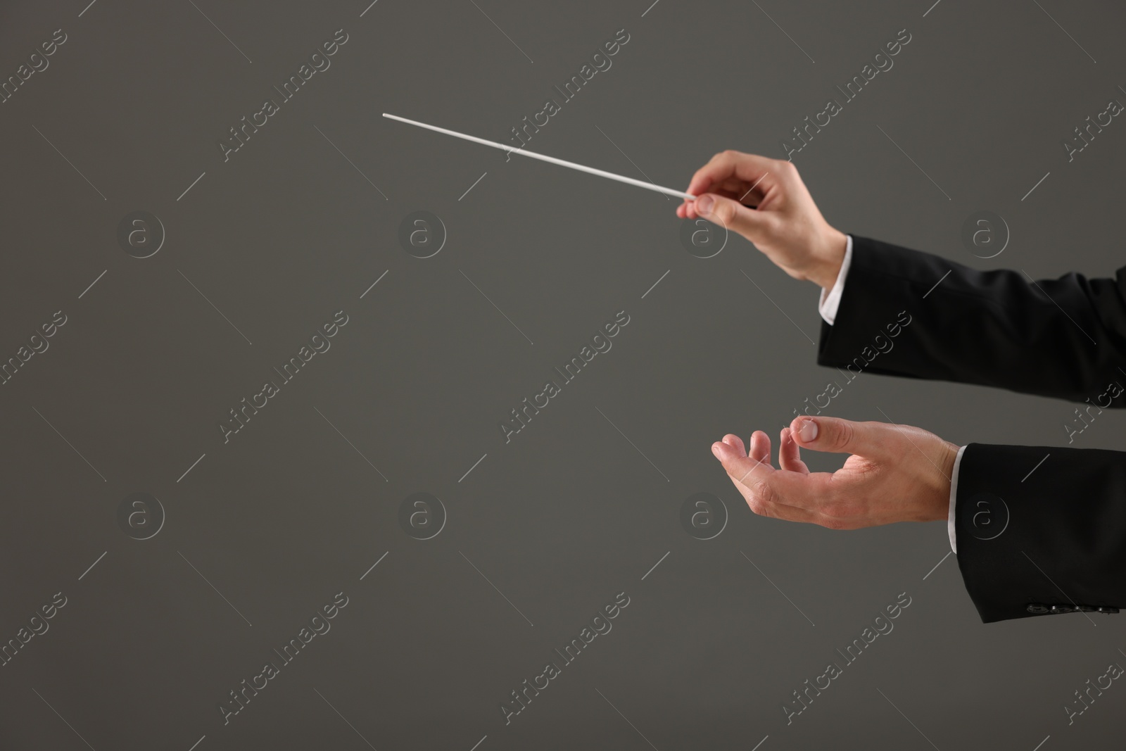 Professional conductor with baton on grey background, closeup. Space for text Photo of Professional conductor with baton on grey background, closeup. Space for text