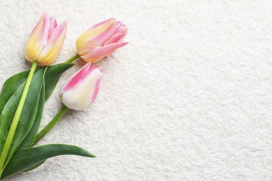 Photo of Beautiful tulips on light textured background, top view. Space for text