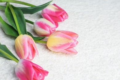 Photo of Beautiful tulips on light textured background, closeup