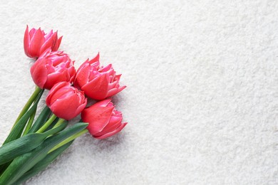 Photo of Beautiful tulips on light textured background, top view. Space for text
