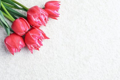 Photo of Beautiful tulips on light textured background, top view. Space for text