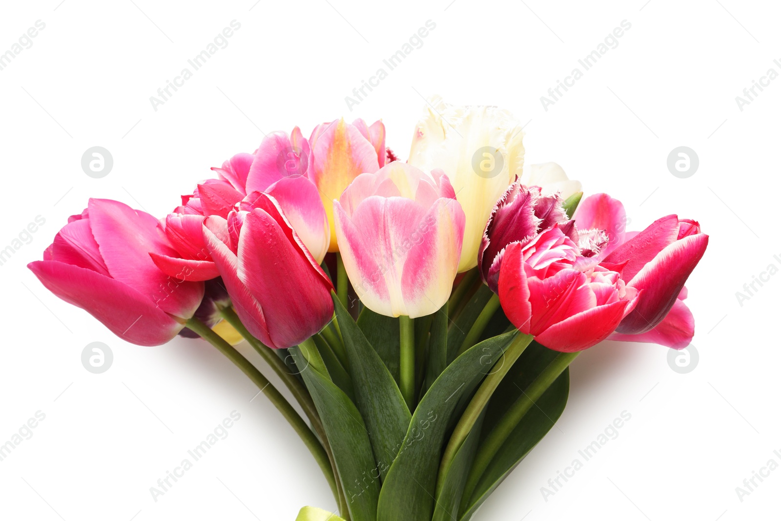 Bouquet of beautiful tulips isolated on white Photo of Bouquet of beautiful tulips isolated on white