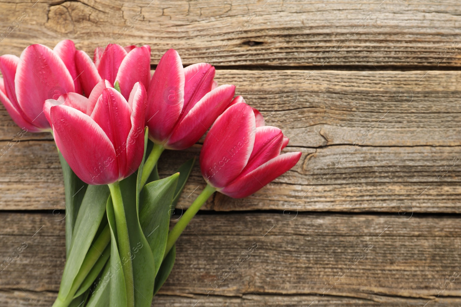 Beautiful tulips on wooden background, top view. Space for text Photo of Beautiful tulips on wooden background, top view. Space for text