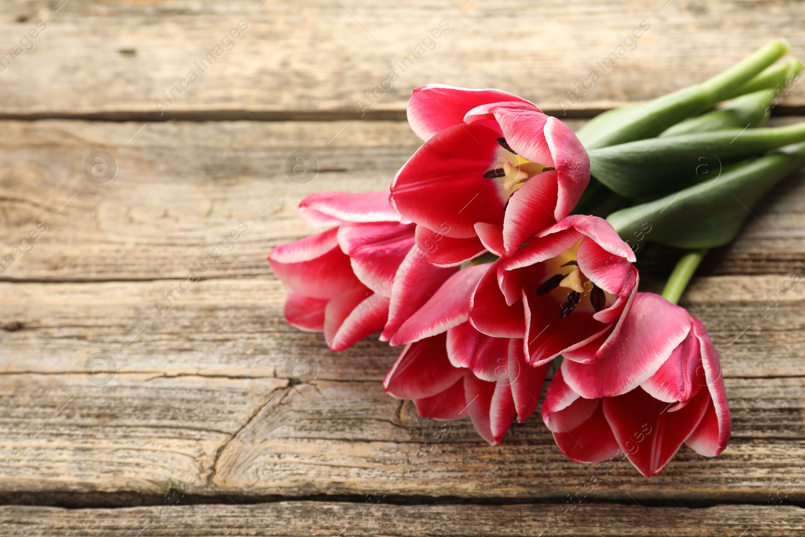 Beautiful tulip flowers on wooden background, closeup Photo of Beautiful tulip flowers on wooden background, closeup