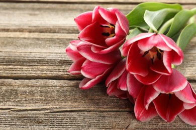 Photo of Beautiful tulip flowers on wooden background, closeup. Space for text