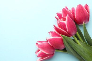Photo of Beautiful tulip flowers on light background, top view. Space for text