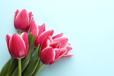 Photo of Beautiful tulip flowers on light background, top view. Space for text