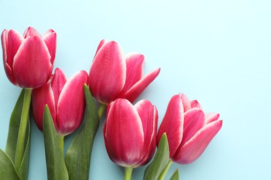 Photo of Beautiful tulip flowers on light background, top view