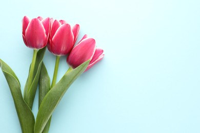 Photo of Beautiful tulip flowers on light background, top view. Space for text