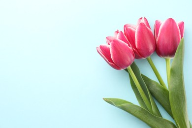 Photo of Beautiful tulip flowers on light background, top view. Space for text