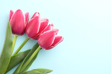 Photo of Beautiful tulip flowers on light background, top view. Space for text
