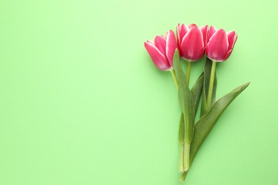 Photo of Beautiful tulip flowers on green background, top view. Space for text