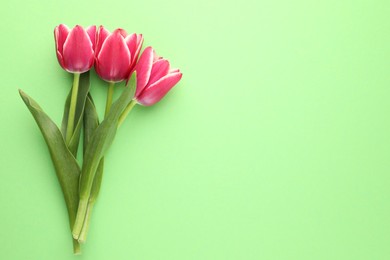 Photo of Beautiful tulip flowers on green background, top view. Space for text