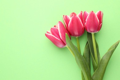 Photo of Beautiful tulip flowers on green background, top view. Space for text