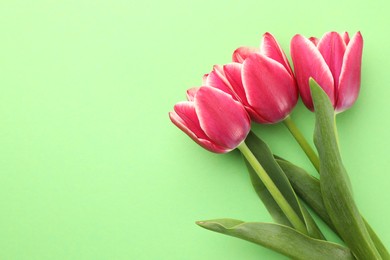 Photo of Beautiful tulip flowers on green background, top view