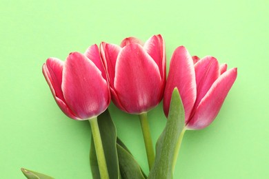 Photo of Beautiful tulip flowers on green background, top view