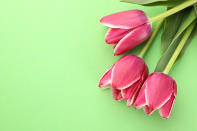 Photo of Beautiful tulip flowers on green background, top view. Space for text
