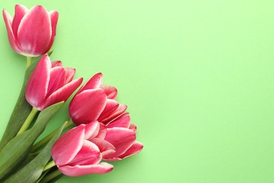 Photo of Beautiful tulip flowers on green background, top view. Space for text