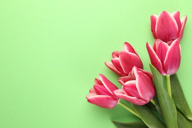 Photo of Beautiful tulip flowers on green background, top view. Space for text