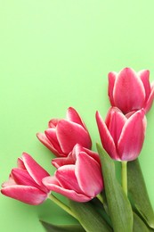 Photo of Beautiful tulip flowers on green background, top view. Space for text