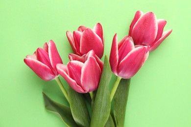 Photo of Beautiful tulip flowers on green background, top view