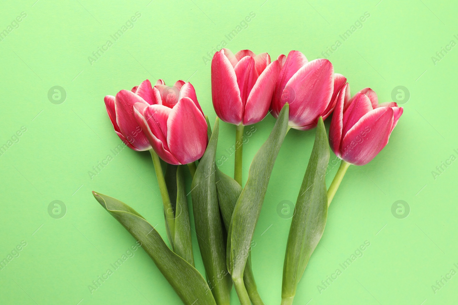 Beautiful tulip flowers on green background, top view Photo of Beautiful tulip flowers on green background, top view