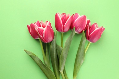 Photo of Beautiful tulip flowers on green background, top view