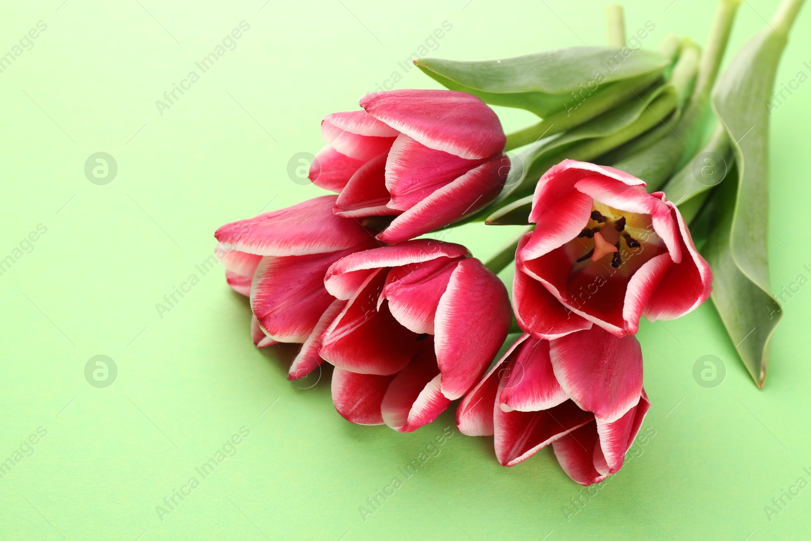 Beautiful tulip flowers on green background, closeup Photo of Beautiful tulip flowers on green background, closeup