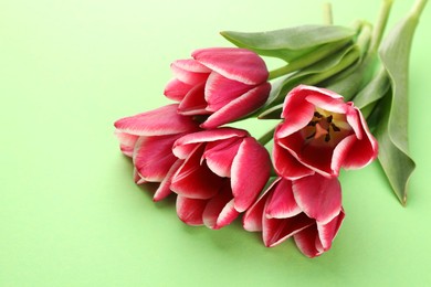 Photo of Beautiful tulip flowers on green background, closeup