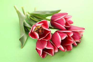 Photo of Beautiful tulip flowers on green background, closeup
