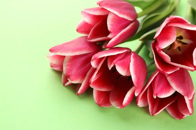 Photo of Beautiful tulip flowers on green background, closeup