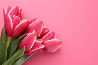 Photo of Bouquet of beautiful tulips on pink background, top view. Space for text
