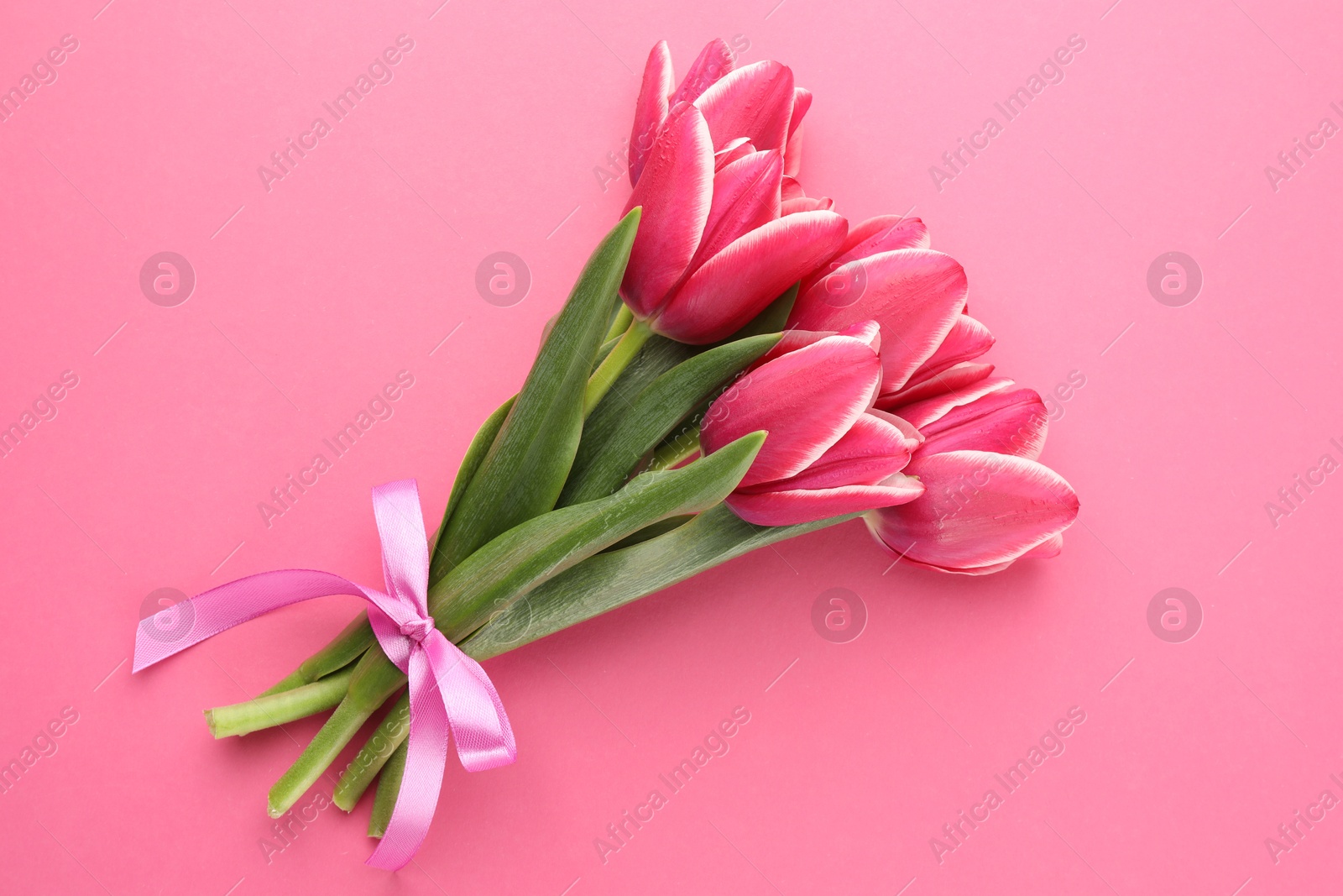 Bouquet of beautiful tulips on pink background, top view Photo of Bouquet of beautiful tulips on pink background, top view
