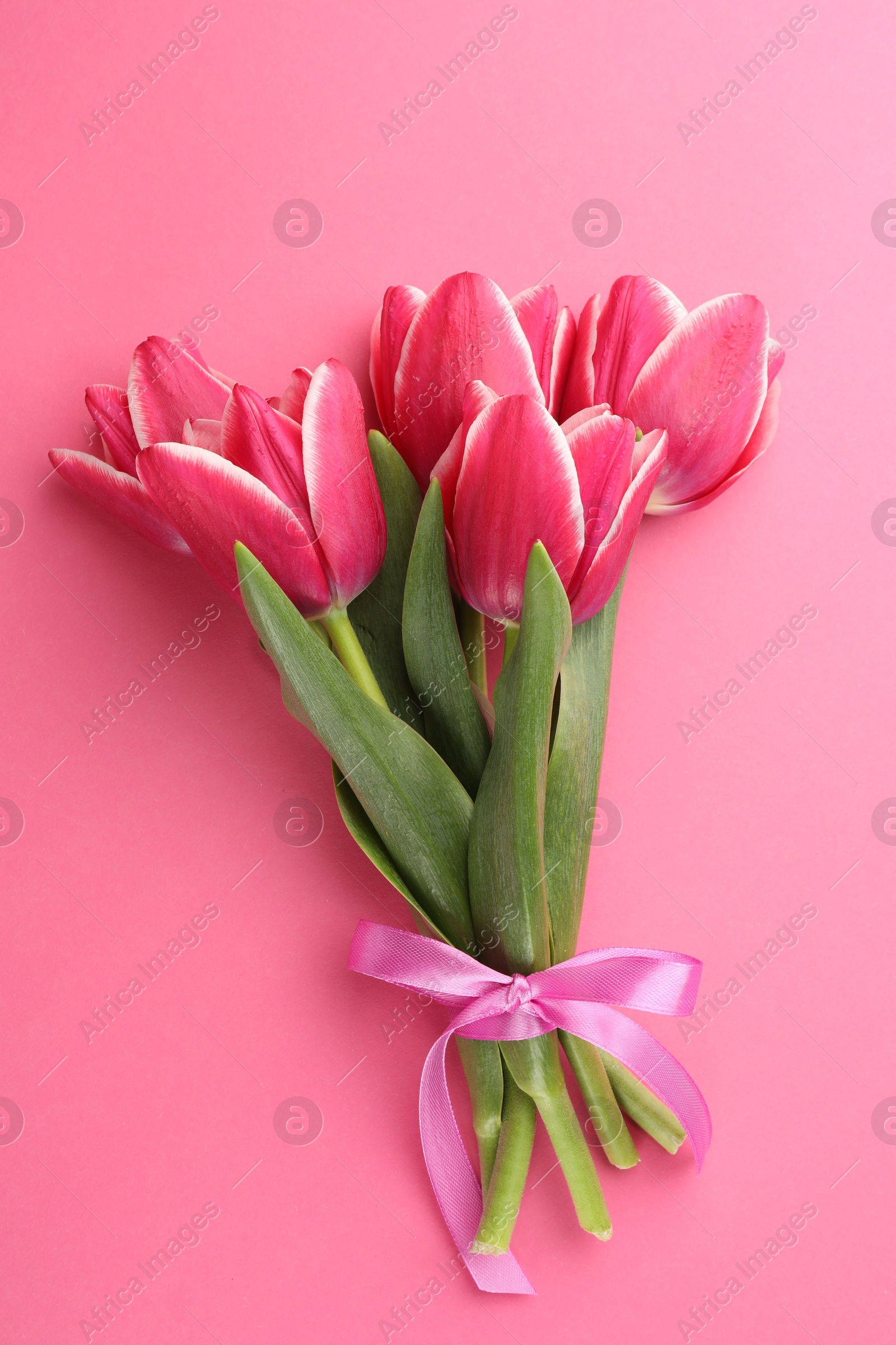 Bouquet of beautiful tulips on pink background, top view Photo of Bouquet of beautiful tulips on pink background, top view