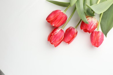 Photo of Beautiful tulip flowers on white background, top view. Space for text