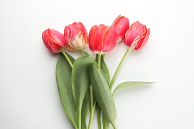 Photo of Beautiful tulip flowers on white background, top view