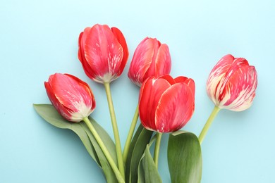 Photo of Beautiful tulip flowers on light blue background, flat lay
