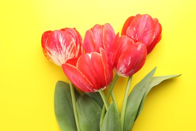 Photo of Beautiful tulip flowers on yellow background, top view