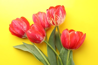 Photo of Beautiful tulip flowers on yellow background, top view