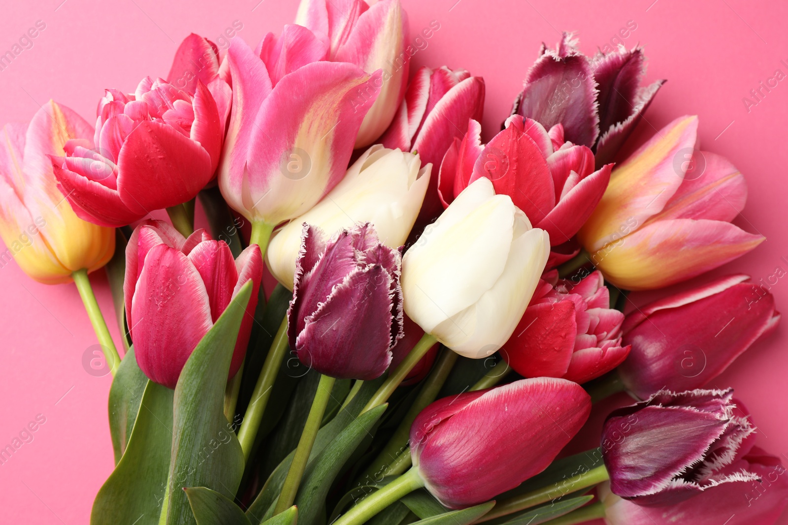 Photo of Bouquet of beautiful tulips on pink background, top view